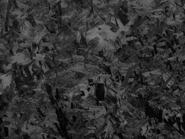 RX7 99 Spec Spoiler Carbon Type-O Wing Insert & End Caps